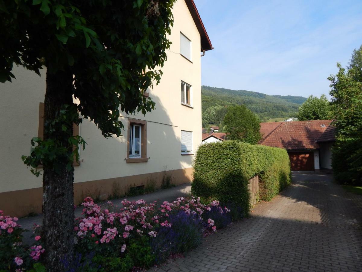 Wehr Orchidee Apartment Exteriör bild