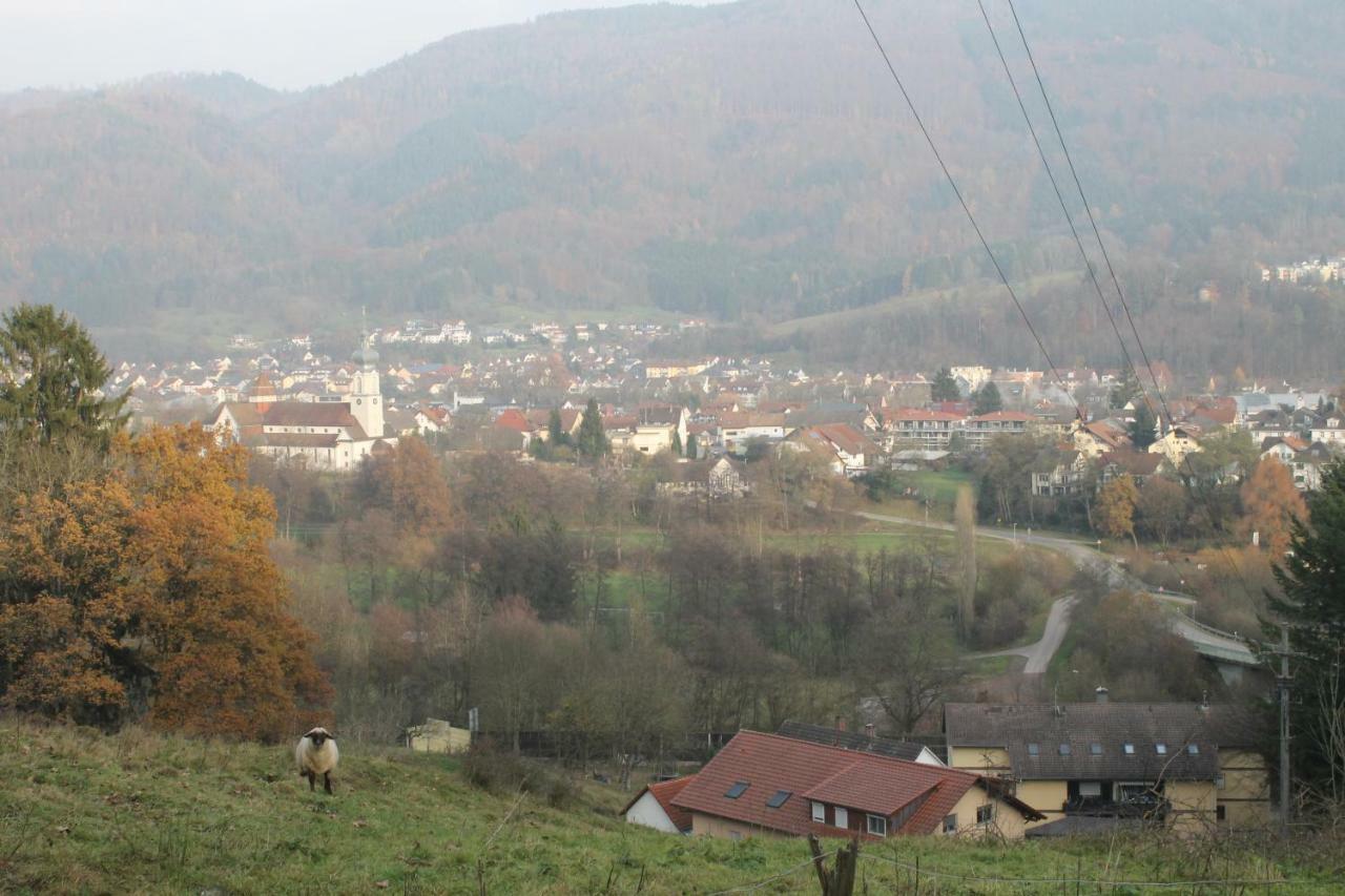 Wehr Orchidee Apartment Exteriör bild